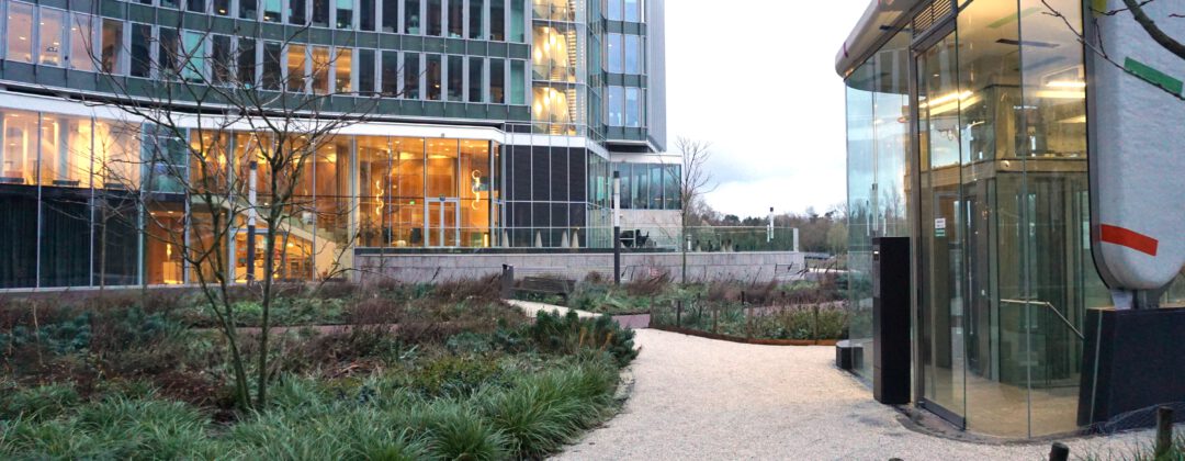 Extra groen bij Beatrixpark Amsterdam Weerproof