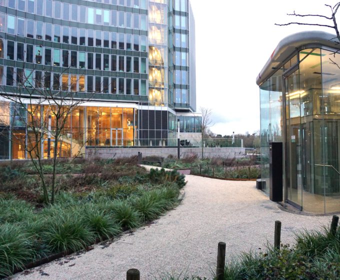 Extra groen bij Beatrixpark Amsterdam Weerproof