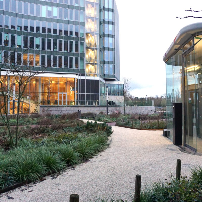 Extra groen bij Beatrixpark Amsterdam Weerproof