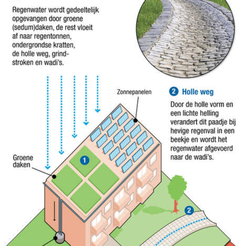 Watertuin in klimaatneutrale wijk infographic Amsterdam Weerproof