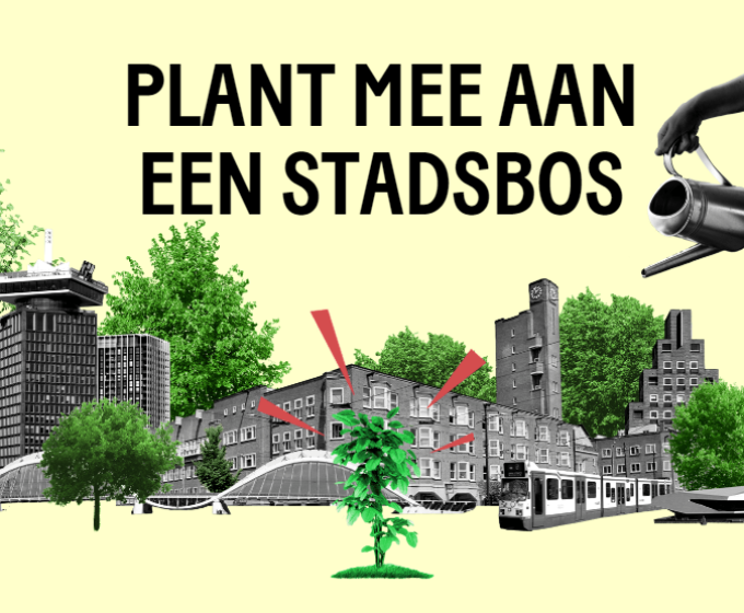 Event: Gratis boompjes voor Amsterdam! Amsterdam Weerproof
