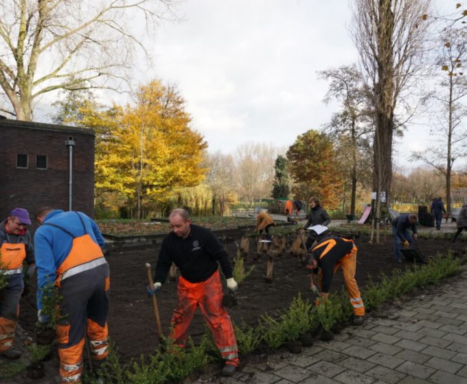 Aanleg regenplein Mercatorstraat Amsterdam Weerproof
