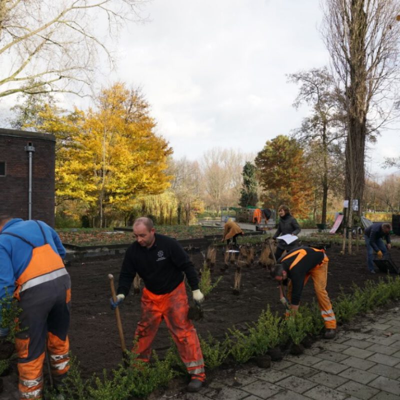 Aanleg regenplein Mercatorstraat Amsterdam Weerproof