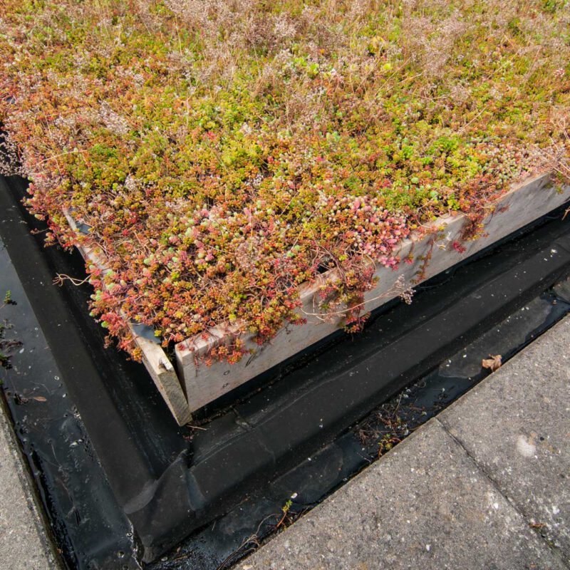 Polderdak Amsterdam Weerproof