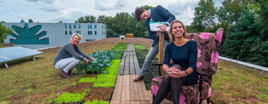 Polderdak met zonnepanelen en groene vegetatie Amsterdam Weerproof