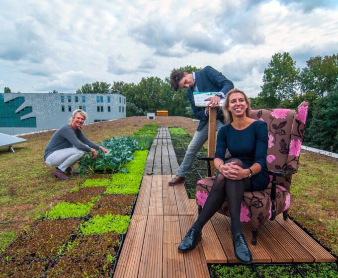 Polderdak met zonnepanelen en groene vegetatie Amsterdam Weerproof