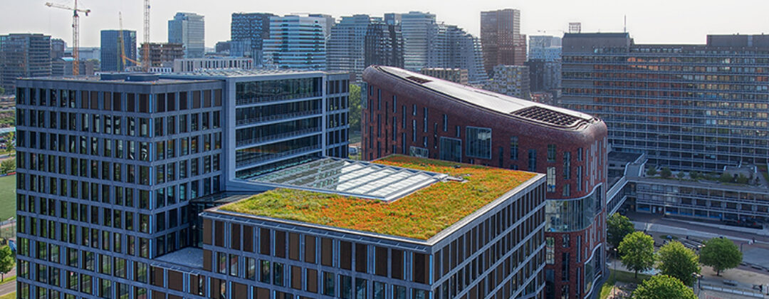 Groen dak op de VU met Zuidas Amsterdam Weerproof