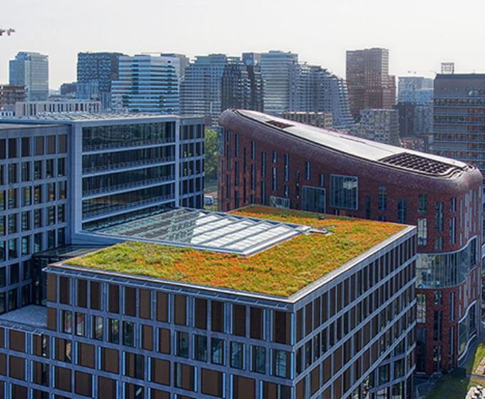 Groen dak op de VU met Zuidas Amsterdam Weerproof