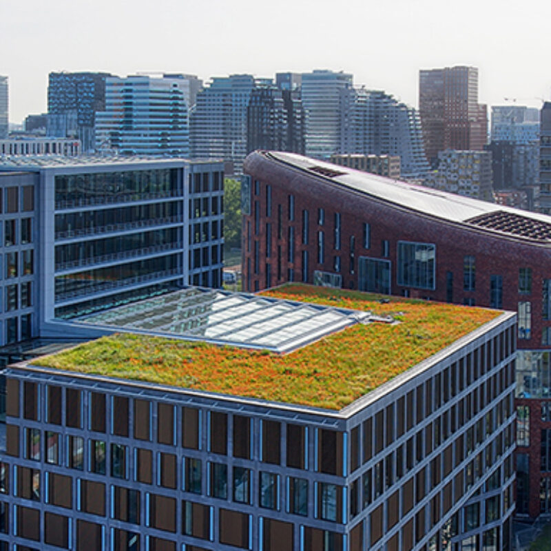 Groen dak op de VU met Zuidas Amsterdam Weerproof