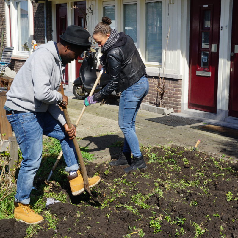 Vrijwilliger werkt aan tuin bij de Heggerankweg Amsterdam Weerproof