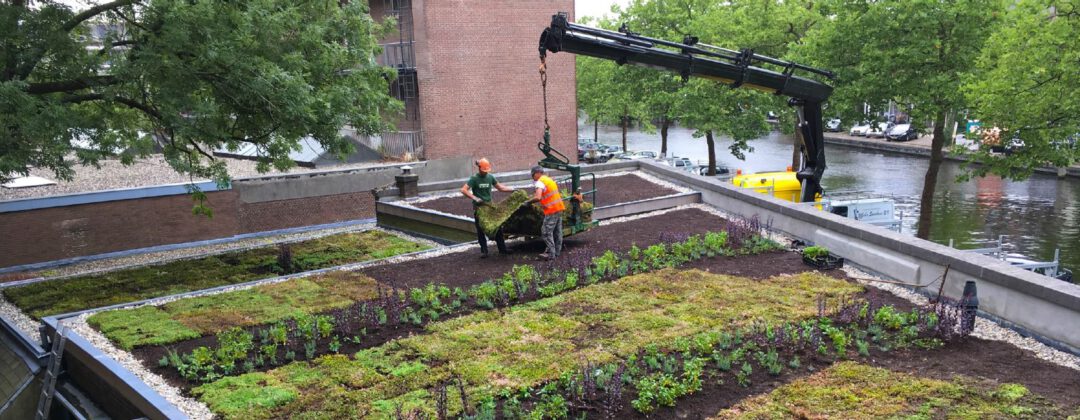 Groen dak wordt aangelegd met grasmatten, werklieden en een kraan Amsterdam Weerproof