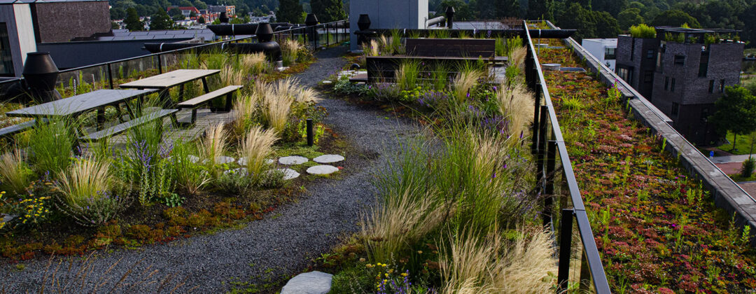 Event: Blauwgroene daken (Groene Huisvesters)