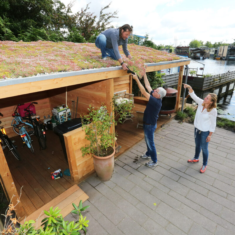Mensen leggen groen dak aan op schuur bij woonboot Amsterdam Weerproof