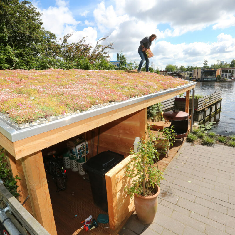 Mensen leggen groen dak aan op schuur bij woonboot Amsterdam Weerproof