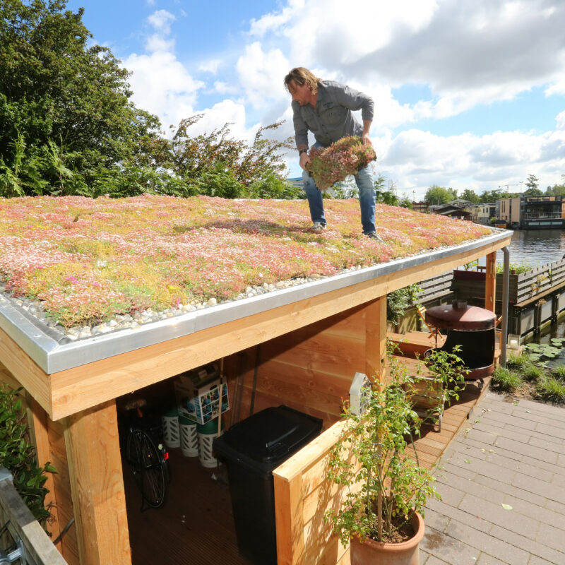 Mensen leggen groen dak aan op schuur bij woonboot Amsterdam Weerproof