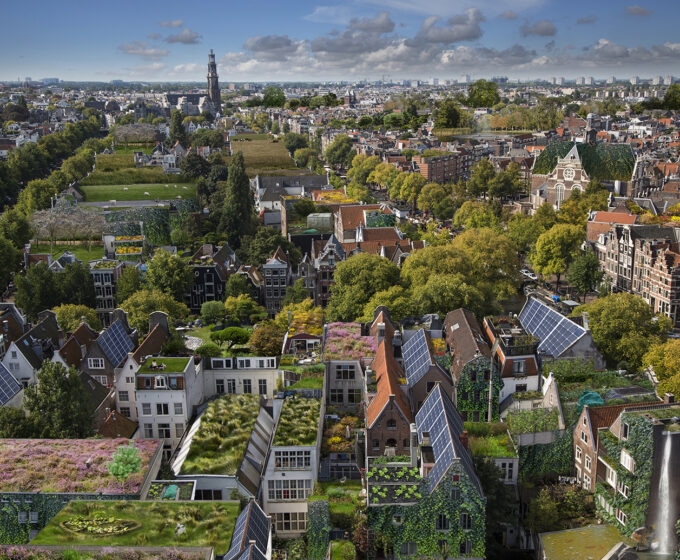 Jordaan vol met groene daken Rooftop Revolution Amsterdam Weerproof