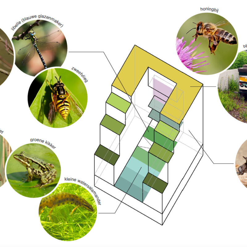 Infographic van klimaatbestendige woningen Overtoomse loft Amsterdam Weerproof