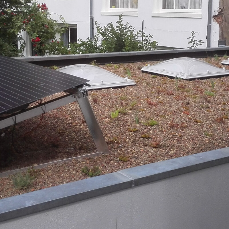 BloemDwars groen dak met zonnepanelen Amsterdam Weerproof