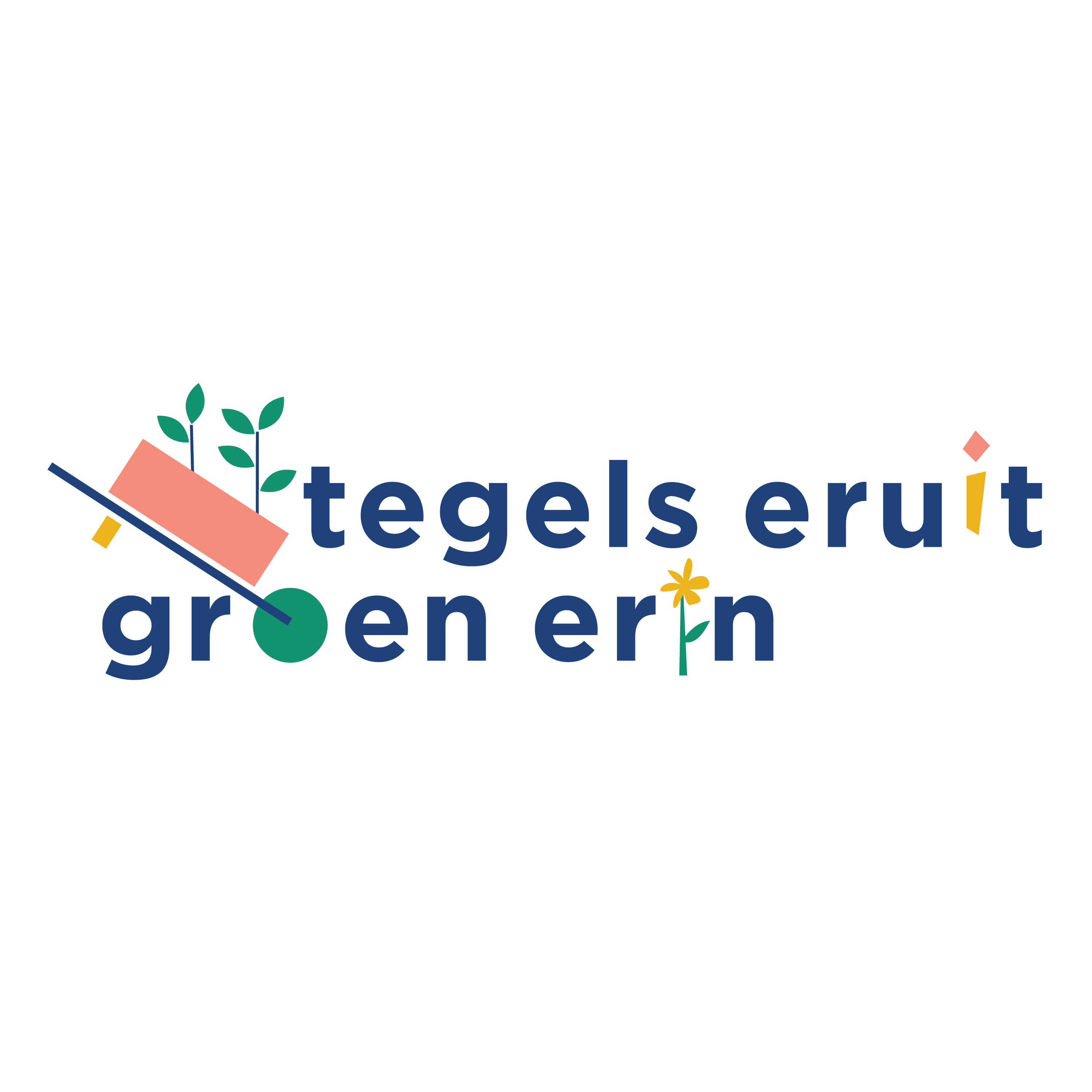 Tegels eruit Amsterdam Weerproof