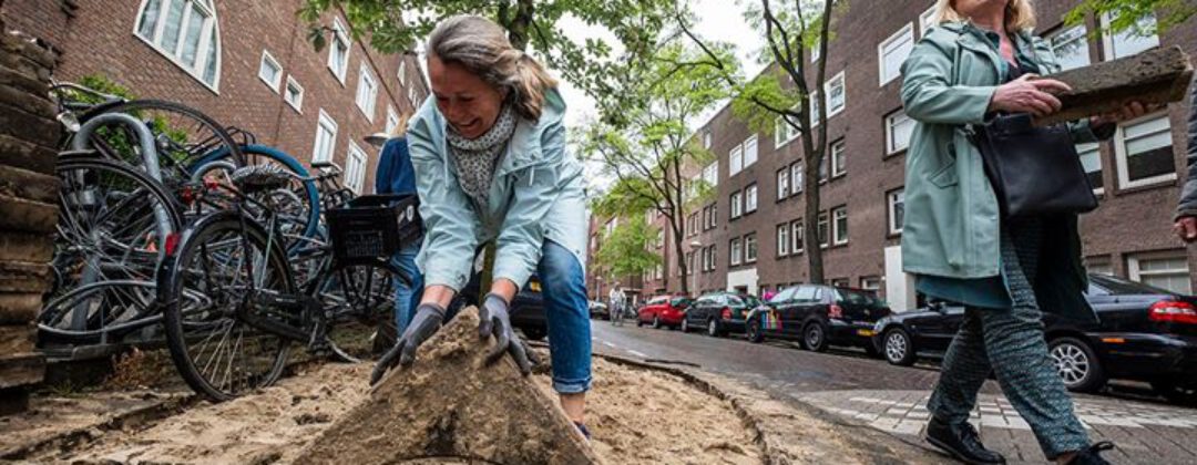 Event: Nationale boomspiegelfeest