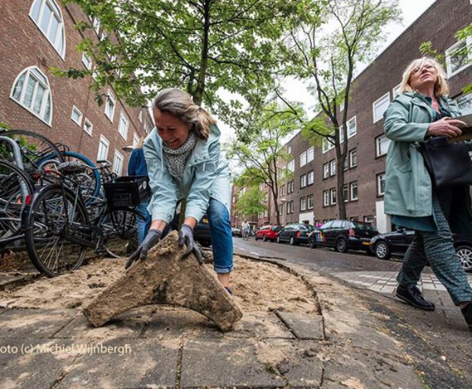 Event: Nationale boomspiegelfeest