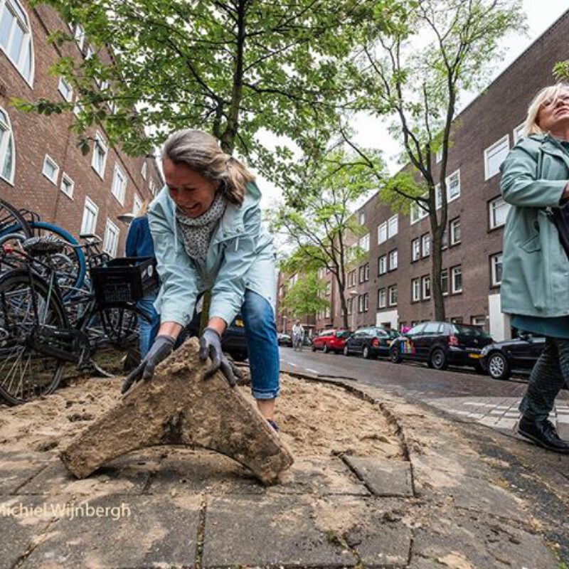 Event: Nationale boomspiegelfeest