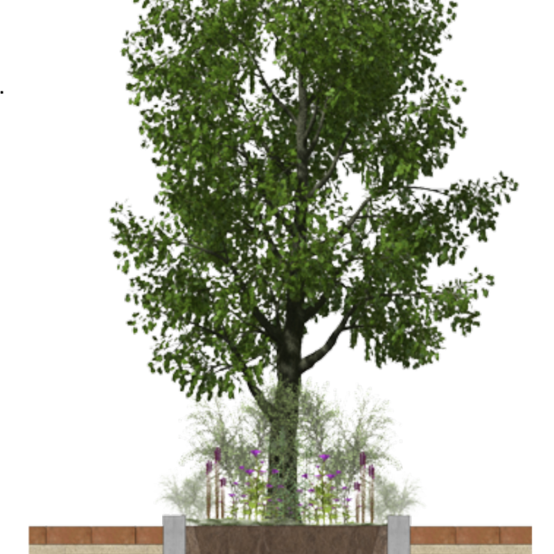 Dwarsdoorsnede van boomtuin of boomspiegel Amsterdam Weerproof