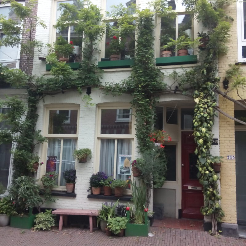 Geveltuin met bank, bloem en klimplanten Amsterdam Weerproof