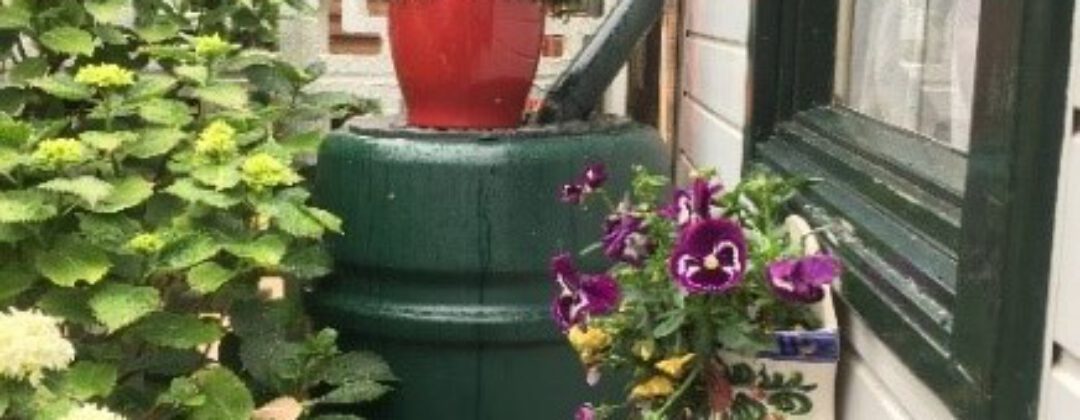 Regenton met bloemen Amsterdam Weerproof