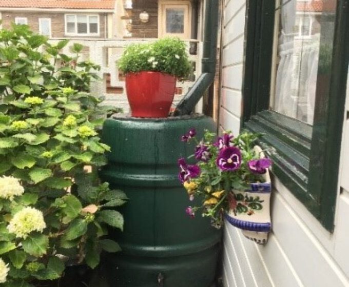 Regenton met bloemen Amsterdam Weerproof