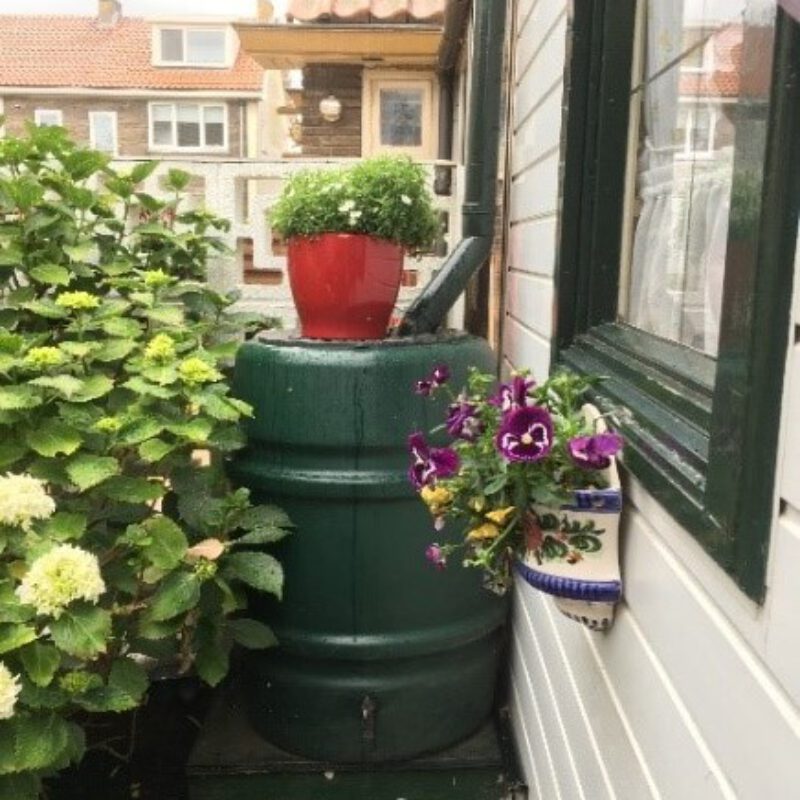 Regenton met bloemen Amsterdam Weerproof