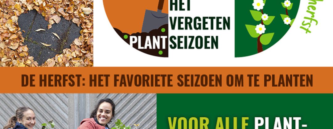 Event: Het Vergeten Plantseizoen Amsterdam Weerproof