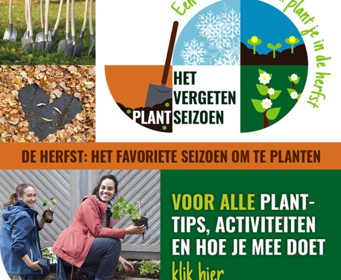 Event: Het Vergeten Plantseizoen Amsterdam Weerproof