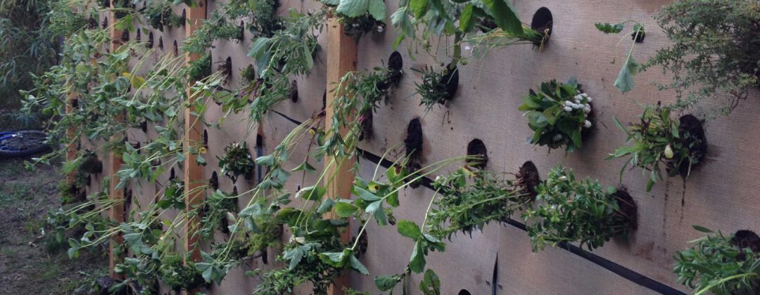 Verticale schooltuin Hestia Kinderopvang Amsterdam Weerproof