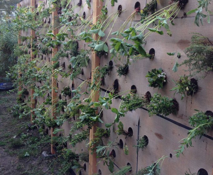 Verticale schooltuin Hestia Kinderopvang Amsterdam Weerproof