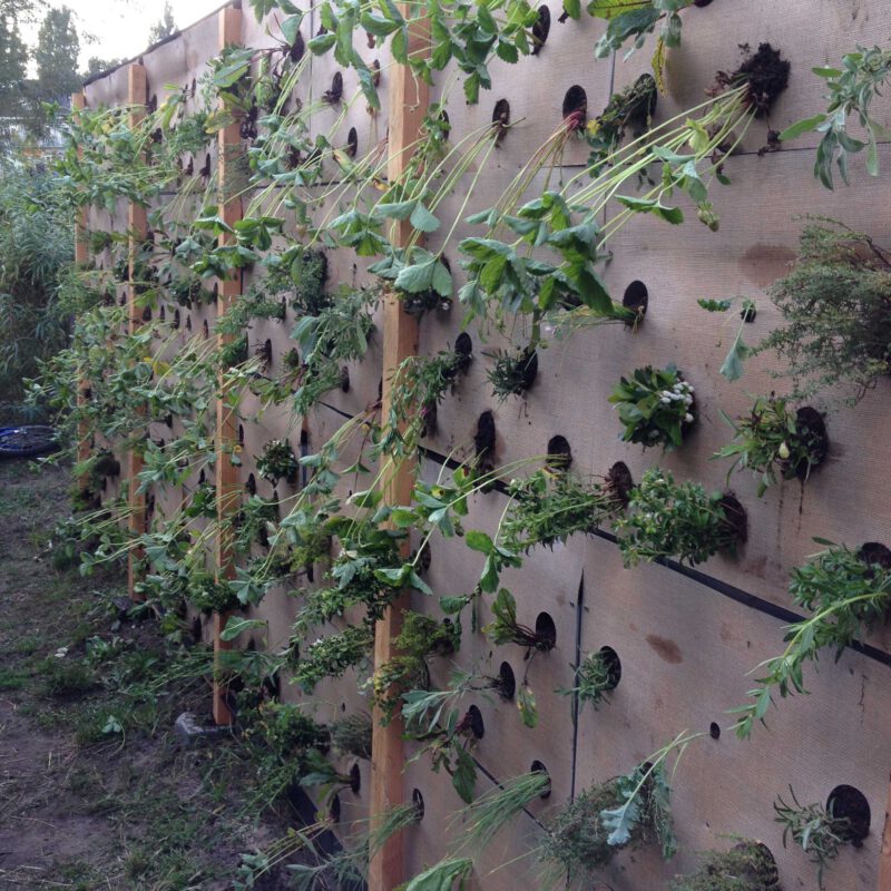 Verticale schooltuin Hestia Kinderopvang Amsterdam Weerproof