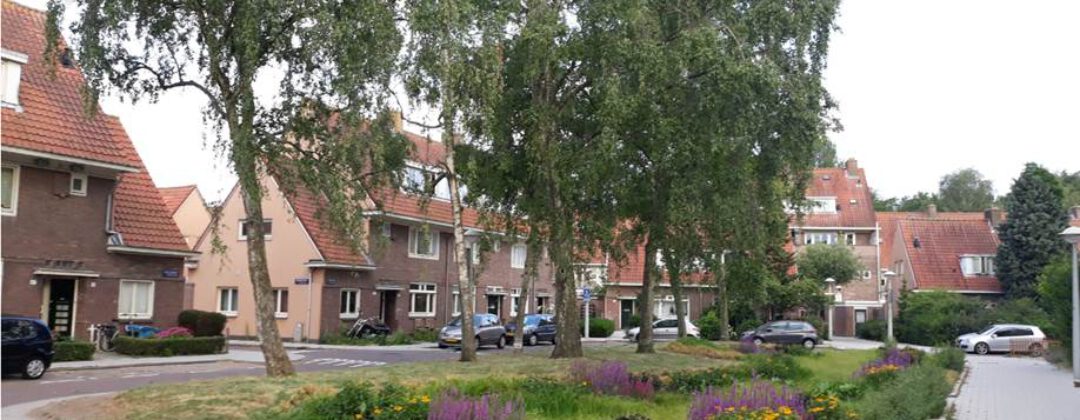 Wadi Betondorp Amsterdam Weerproof