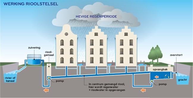 waternet_infographic_rioolwijkniveau