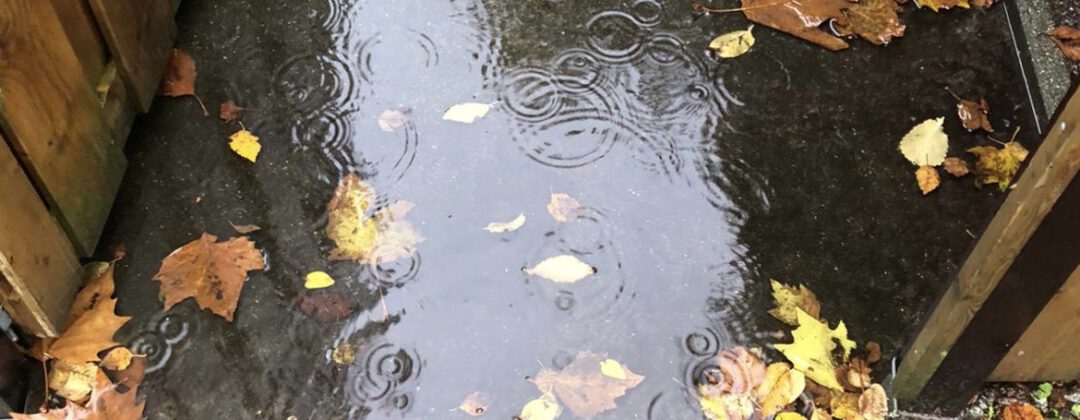 Plas in tuin met herfstbladeren wateroverlast Amsterdam Weerproof