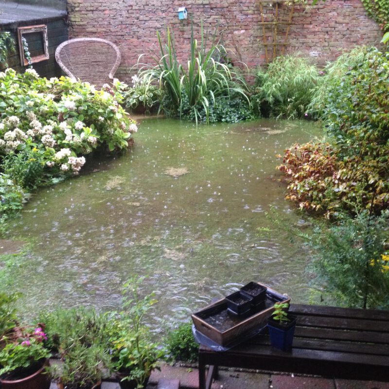 Ondergelopen tuin met regen
