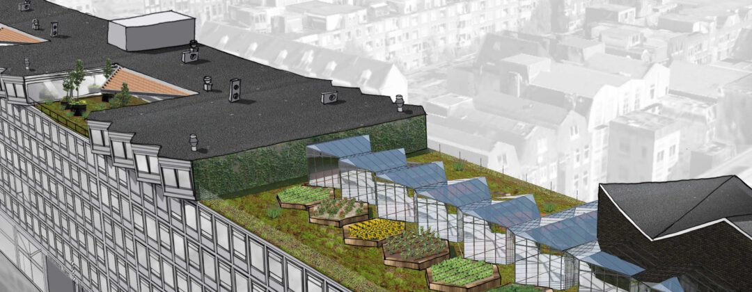 Daktuin boven op Zoku Amsterdam Weerproof