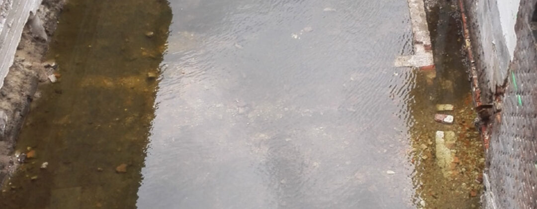 Aanleg BloemDwars groene tuin Amsterdam Weerproof