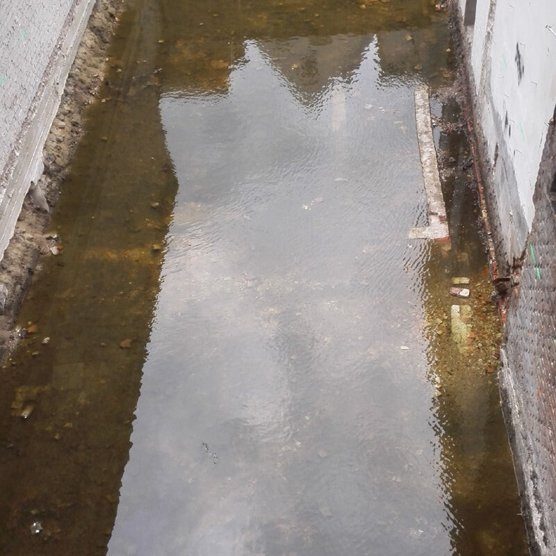 Aanleg BloemDwars groene tuin Amsterdam Weerproof