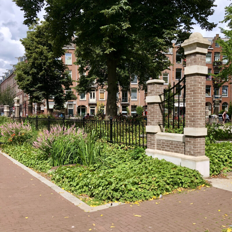 Groen bij herinrichting Bellamybuurt tegen extreme regen Amsterdam Weerproof