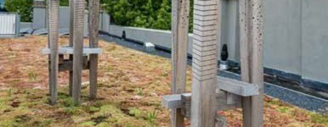 Groenblauw dak op gemeentelijk vastgoed met bijenburcht Amsterdam Weerproof