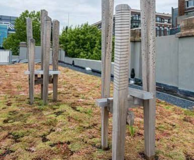 Groenblauw dak op gemeentelijk vastgoed met bijenburcht Amsterdam Weerproof