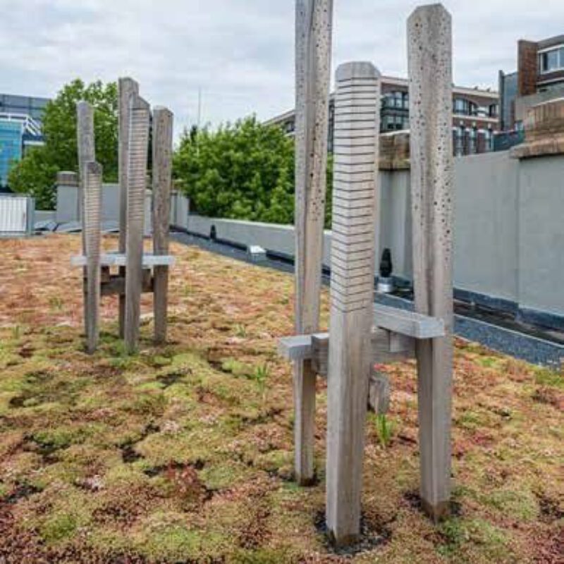 Groenblauw dak op gemeentelijk vastgoed met bijenburcht Amsterdam Weerproof