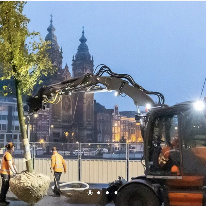 Bomen worden gepland bij Amsterdam Centraal Station Amsterdam Weerproof