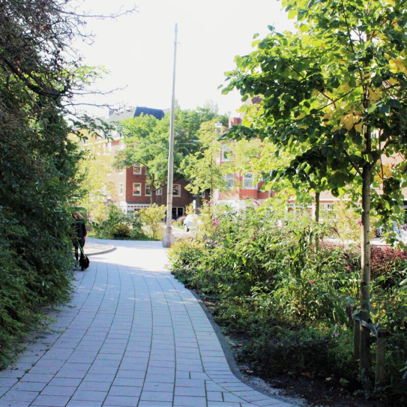 Groen Merwedeplein Amsterdam Weerproof