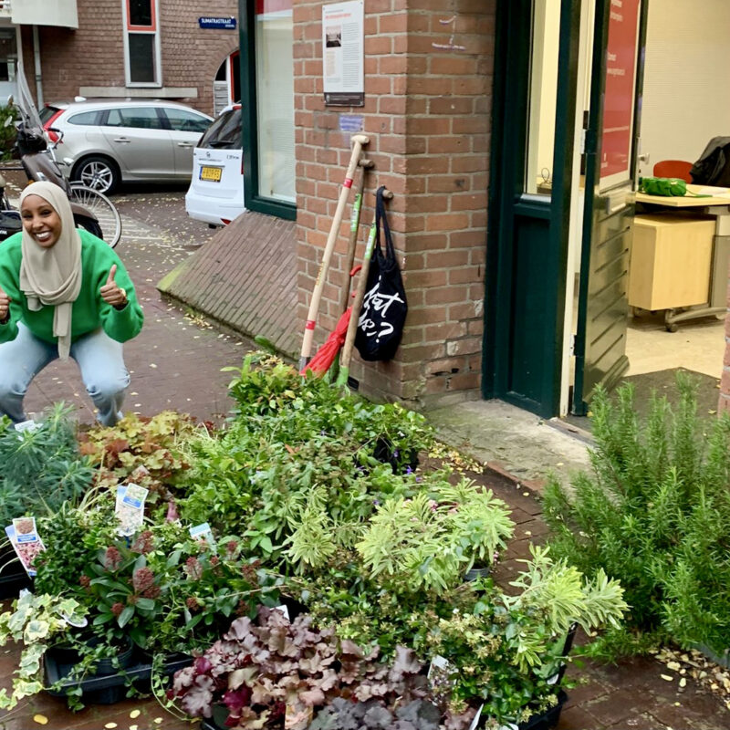 Vrijwilligers van Eigen Haard leggen geveltuin aan Amsterdam Weerproof